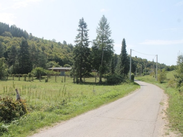 IMG 0494 800x533